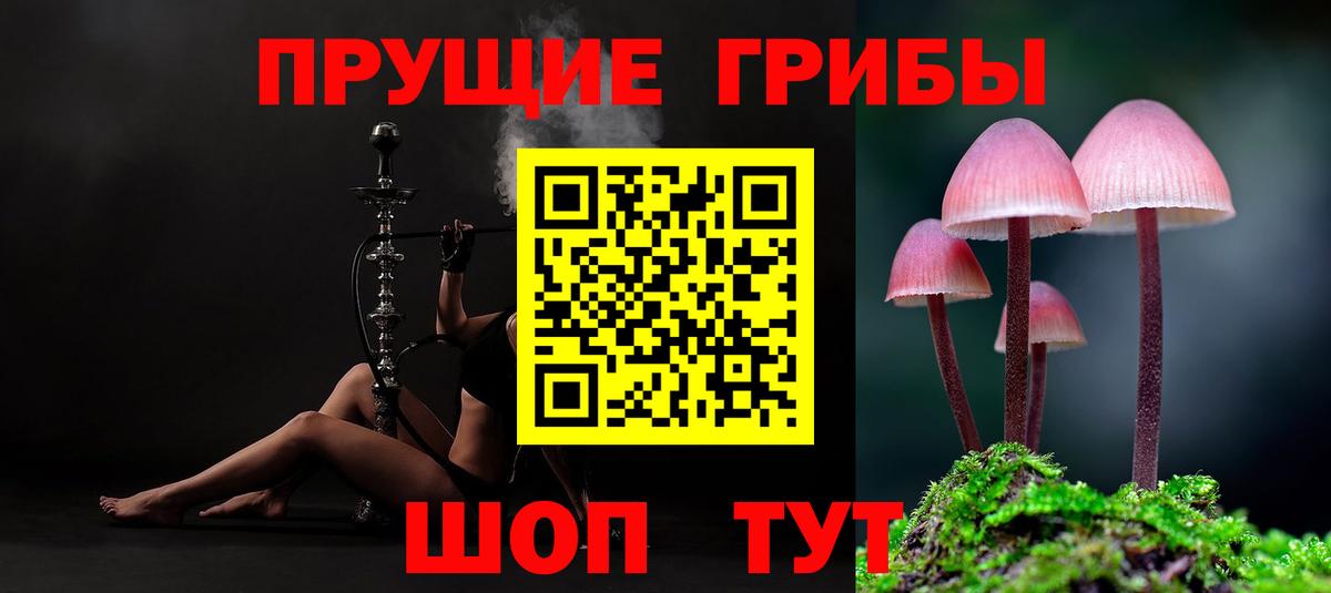 Галлюциногенные грибы мицелий  Вход с VPN  Коряжма 